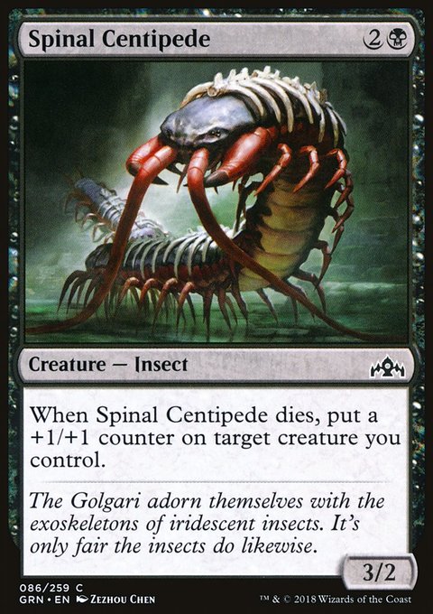 Spinal Centipede